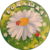 Логотип с. Манвелівка. Дитячий садок 